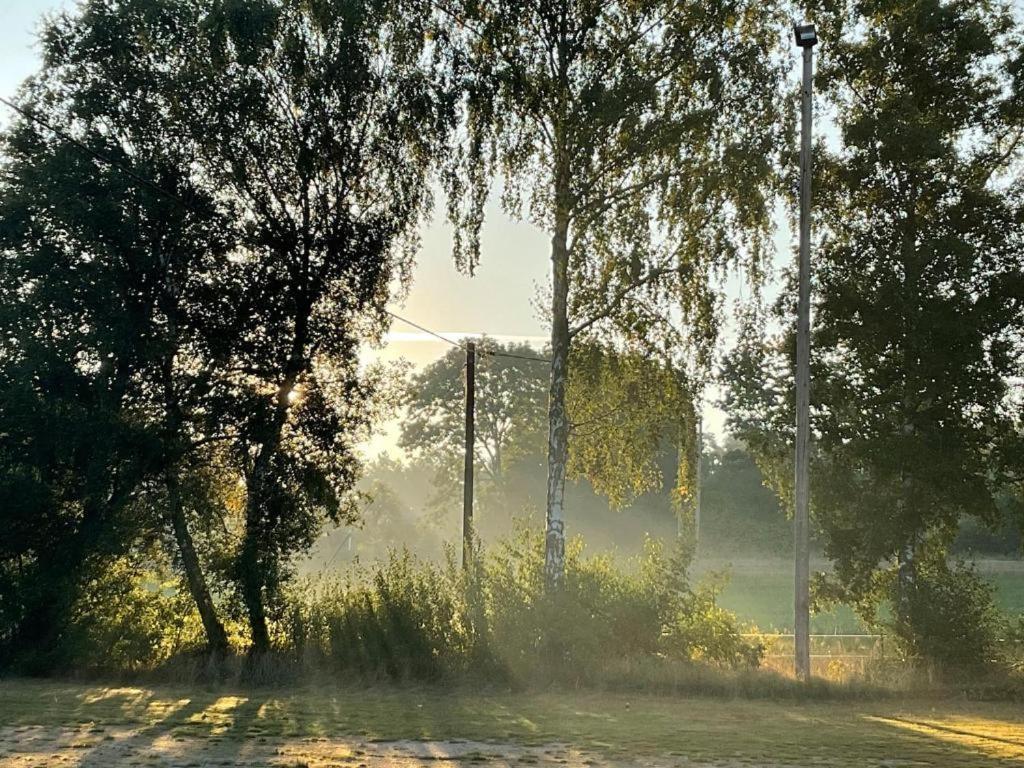 Отель Raella Camp - Oeland Боргхольм Экстерьер фото